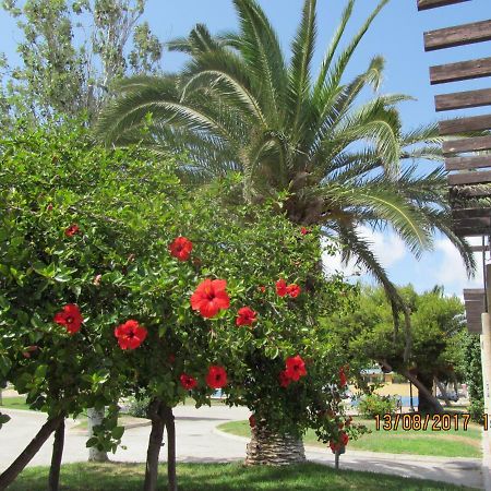 산페드로델피나타르 Hacienda Bellamar 아파트 외부 사진