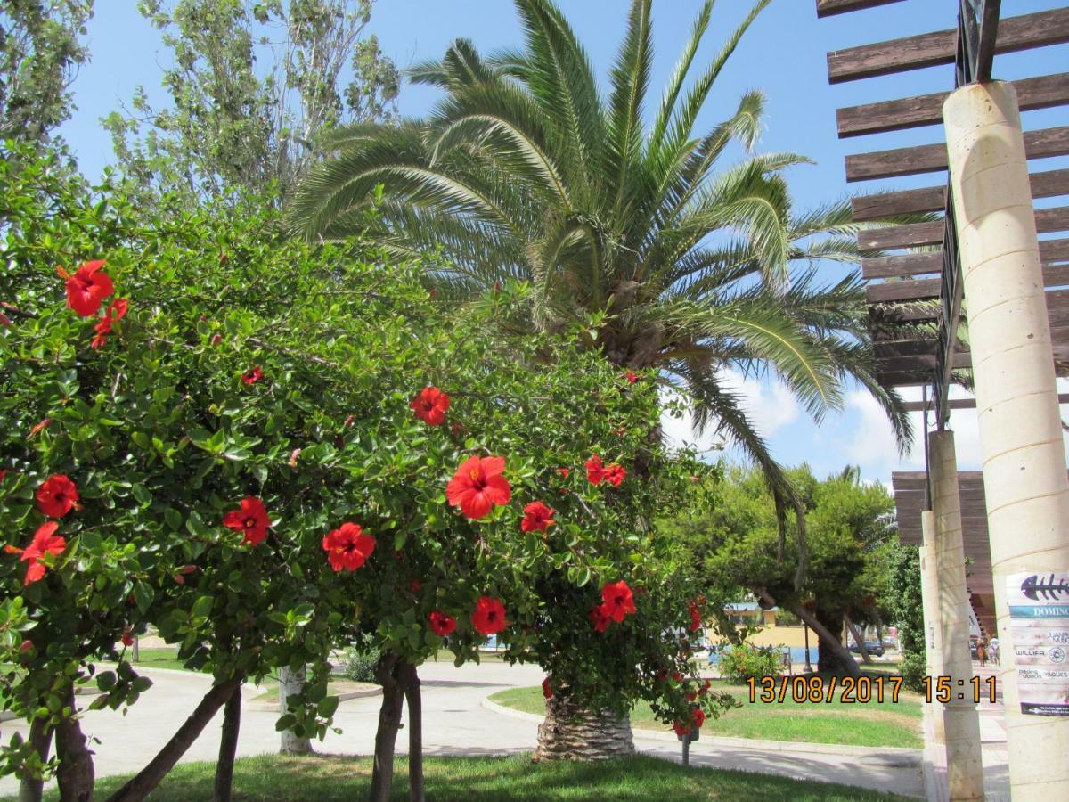 산페드로델피나타르 Hacienda Bellamar 아파트 외부 사진
